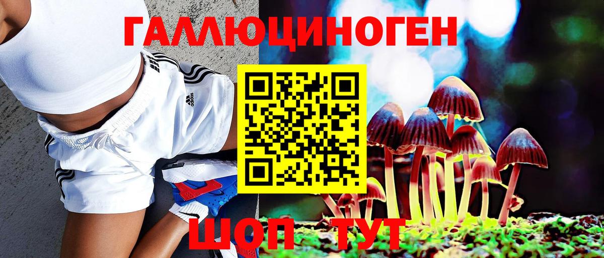 Галлюциногенные грибы Psilocybe  Вход с VPN  Белая Калитва 