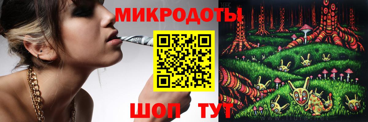 Псилоцибиновые грибы мицелий Белая Калитва